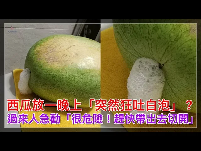 西瓜放一晚上「突然狂吐白泡」?過來人急勸「很危險!趕快帶出去切開」【人生勝利組】